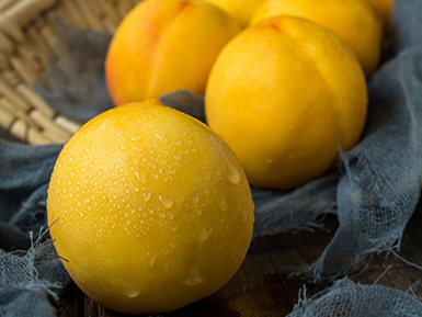 爱游戏登录入口地址基地展示五